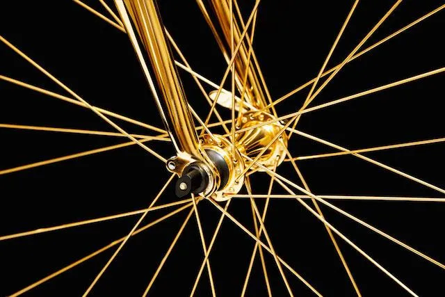 Ecco la bici più cara del mondo (FOTO)